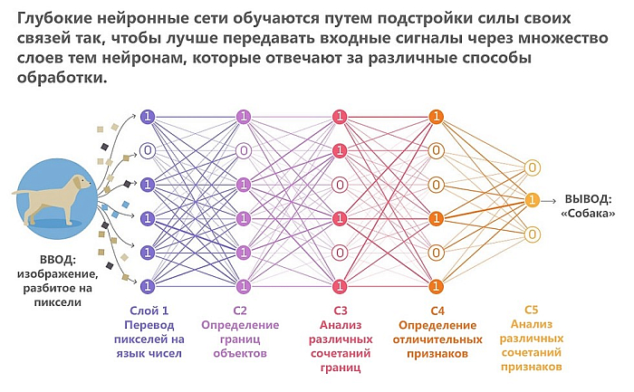 Работа нейронных сетей