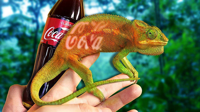 Хамелеон маскируется