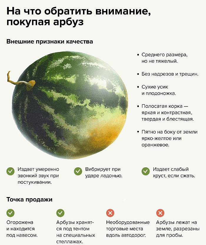 Как правильно выбрать арбуз