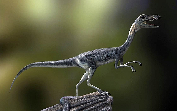 Компсогнат (Compsognathus)