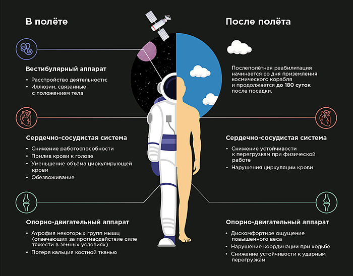Влияние невесомости на человека