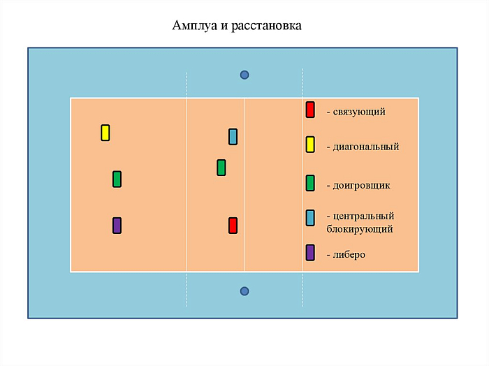 Ключевые роли в команде по волейболу