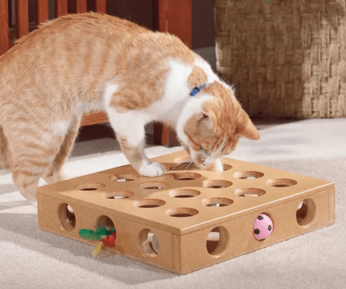 Интеллектуальная игрушка