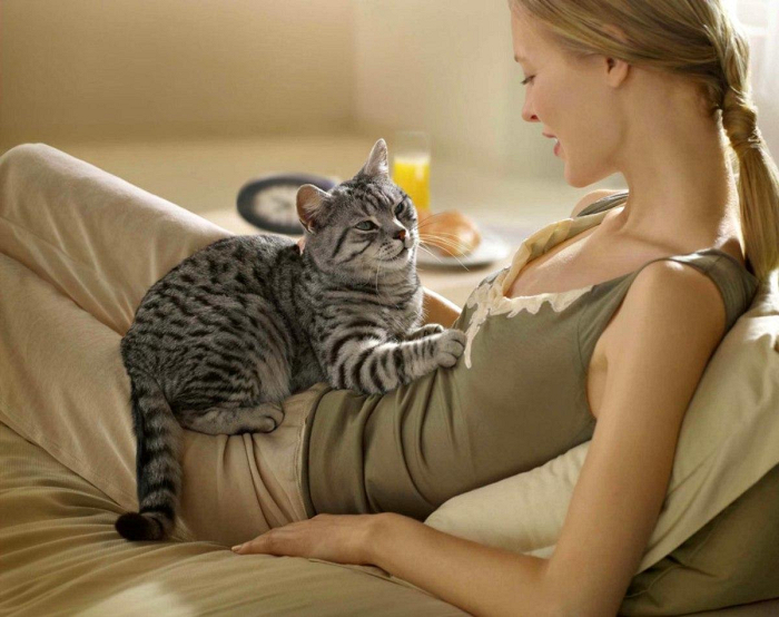 Кошачий массаж для хозяйки